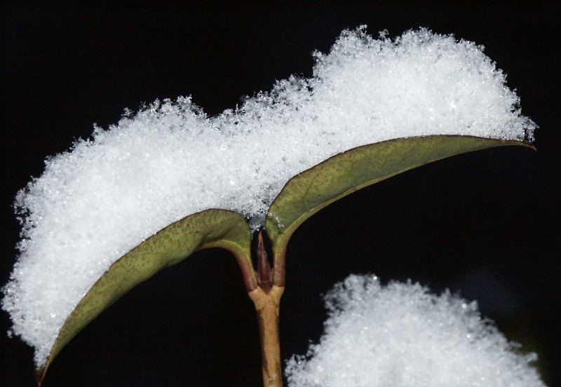 Il peso dell'inverno