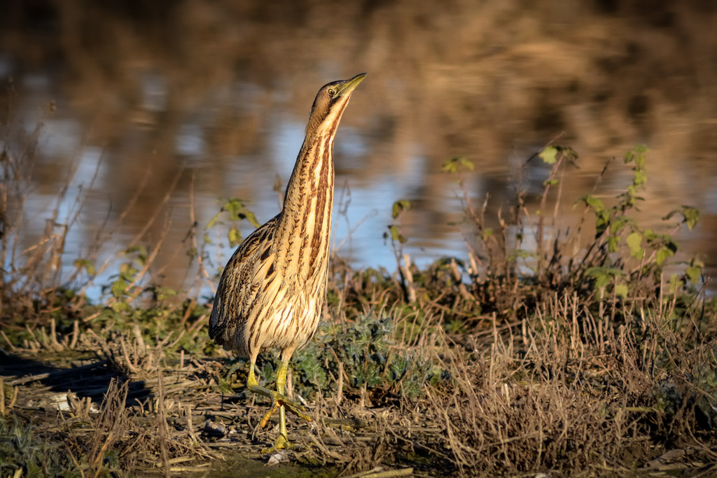 E la guerra continua......