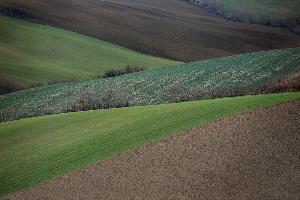 Alternanze - IMG_5806