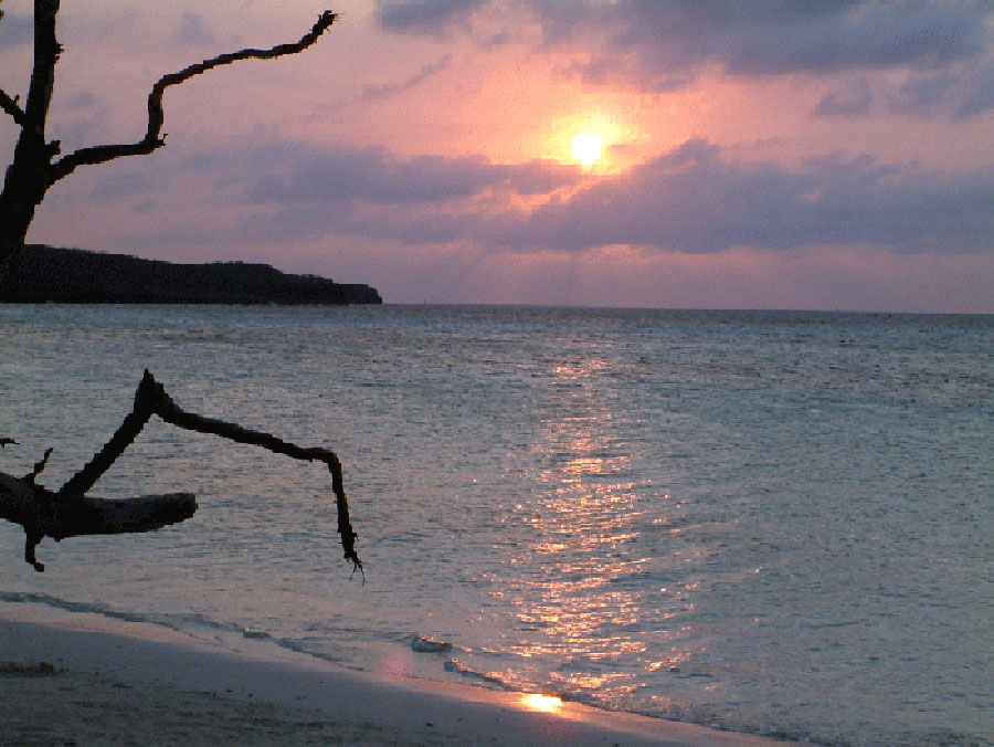 sogno di un tramonto di mezzo inverno
