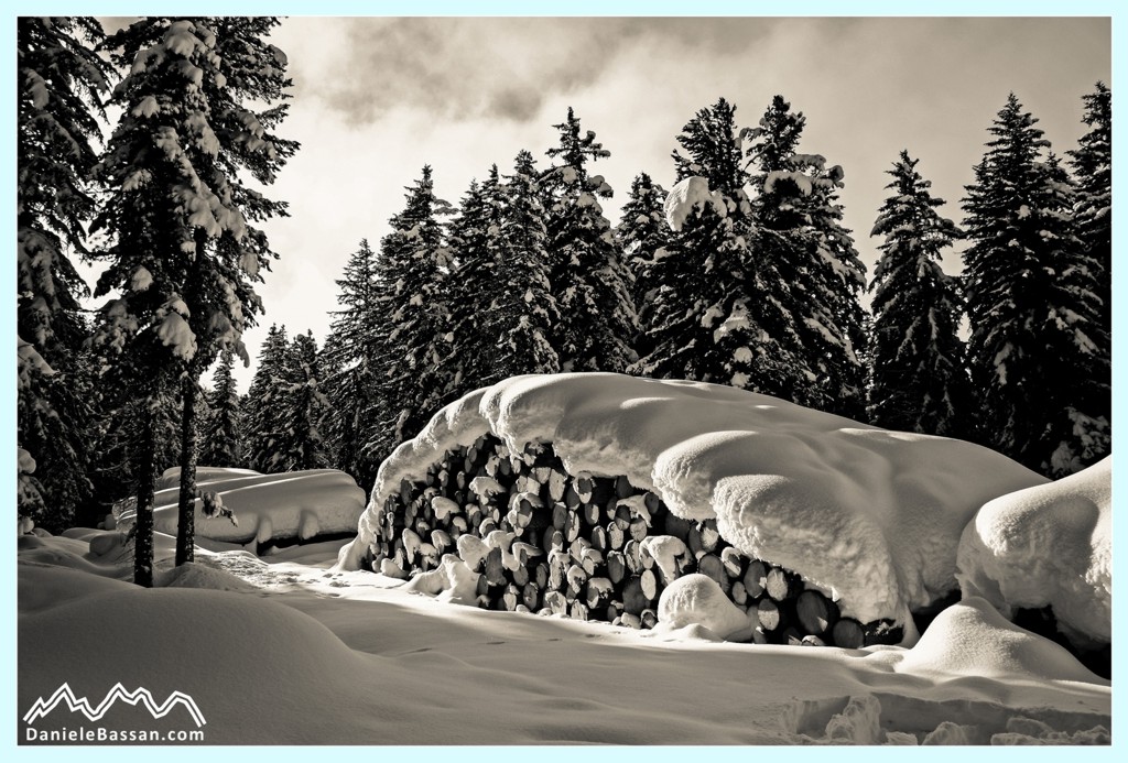 Holzhaufen - Riposo invernale in Alto Adige / S�dtirol