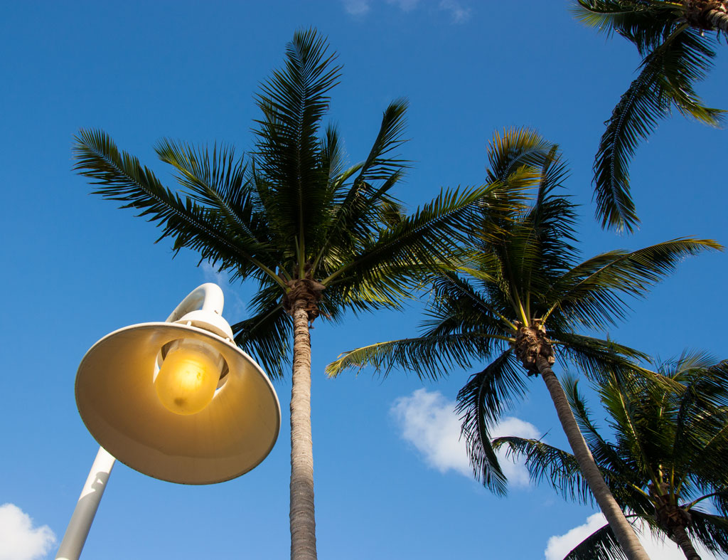 Miami da un punto di vista diverso