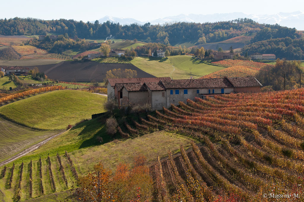 langhe