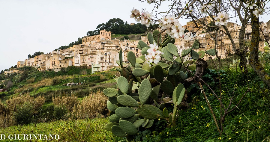 TERRA DI TRADIZIONI
