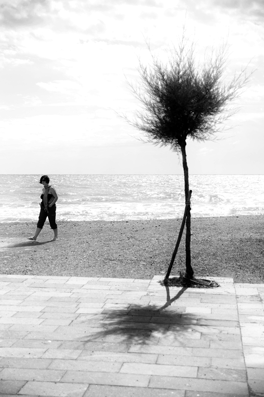 L'albero e la spiaggiante