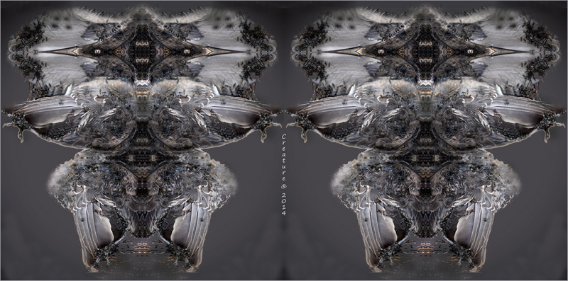 Nuovi venuti � 2014