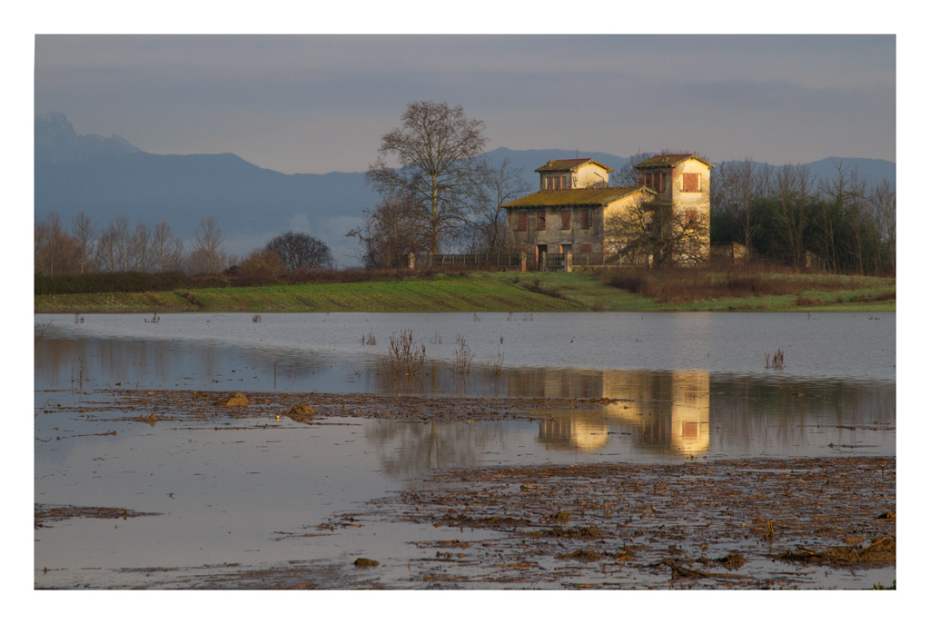 Padule di Bientina: casale disabitato.
