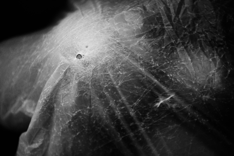 Arancia in busta di plastica