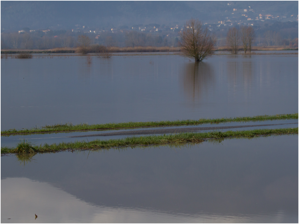 A spasso per il padule allagato