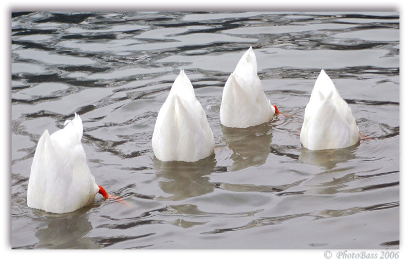 Cosa ci sar� sotto......