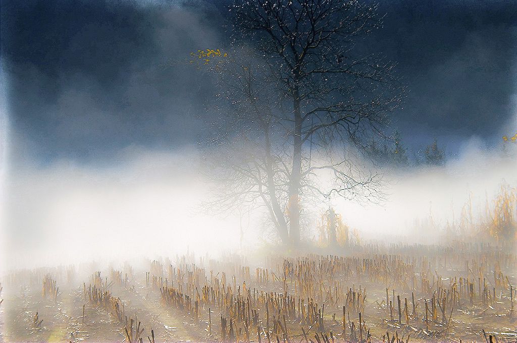 il potere della luce