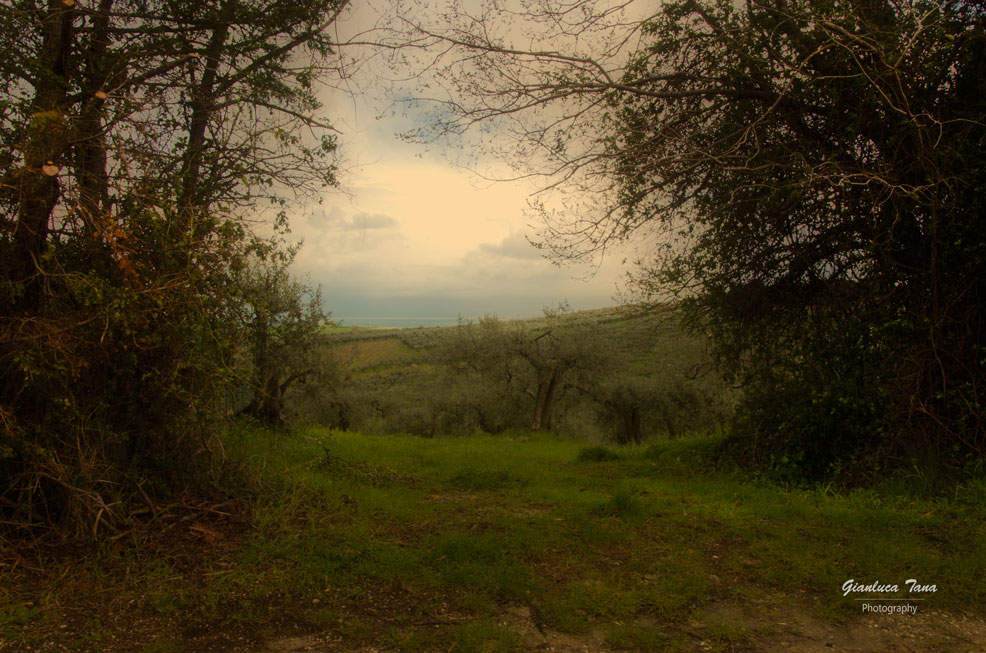 Affresco naturale...