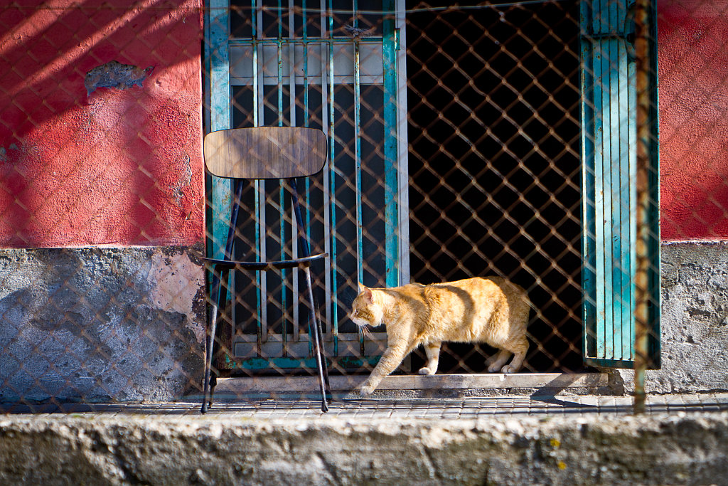 Quando pensi in quadrato e ti manca la porta
