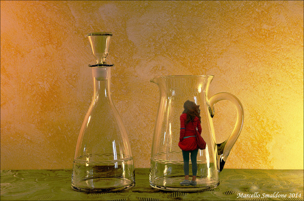 ... una gabbia di cristallo