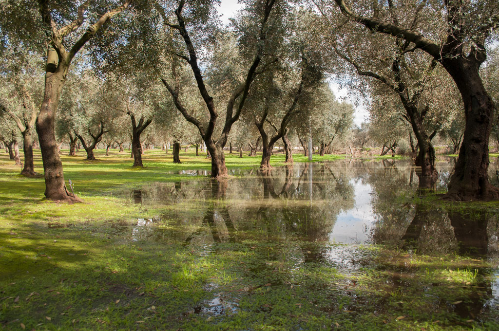 riflessi salentini !