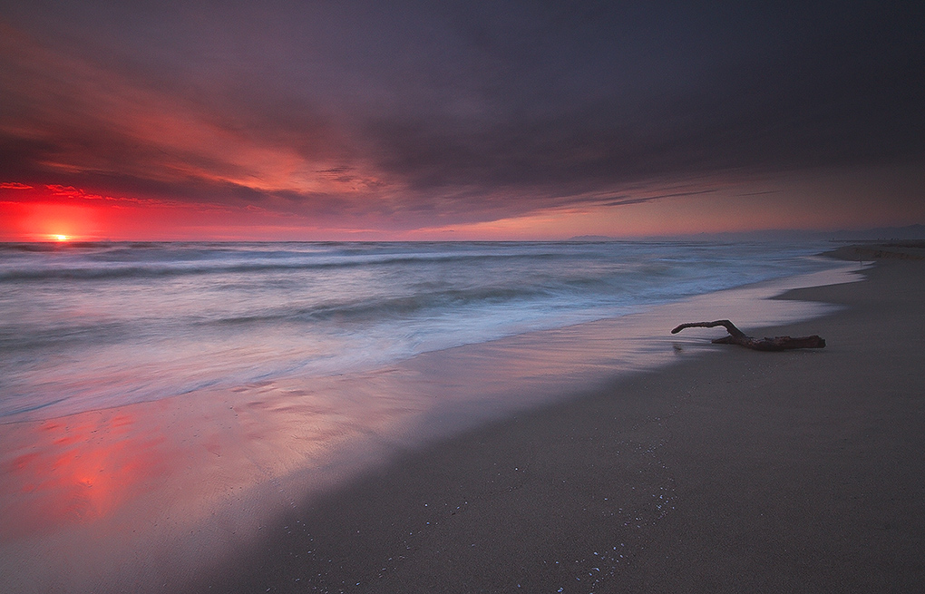 Voglio Una Pelle Splendida