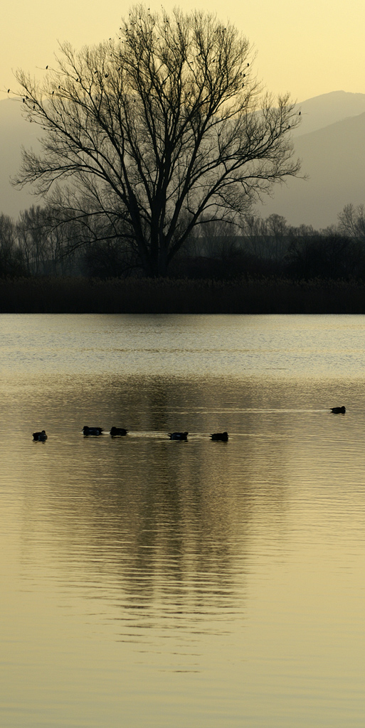 Riserva naturale dei laghi Lungo e Ripasottile