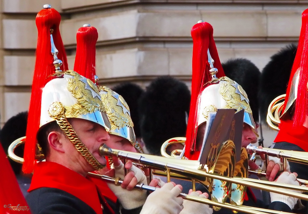 Particolare della Banda in Buckingam Palace