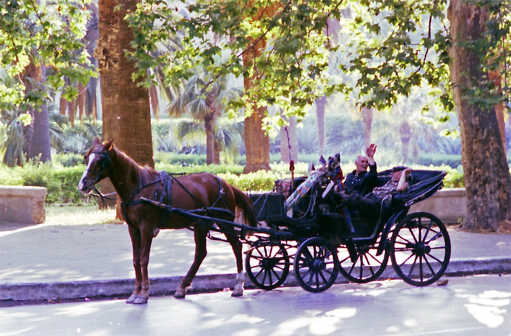 Gnuri - (Il cocchiere)