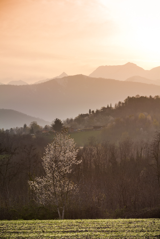 L'inizio della Primavera