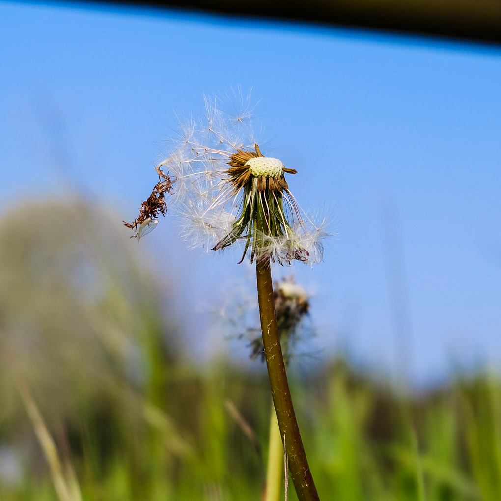 Looking for the other half