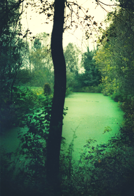 Canale verde