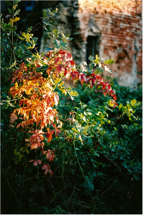 tramonto su Polesine