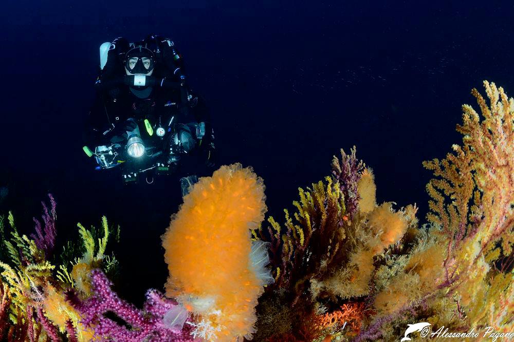 All'ombra della montagna