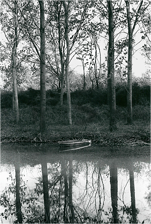 Riflesso bianco e nero