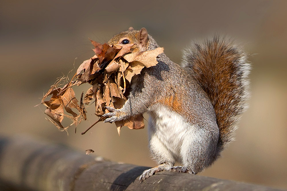 Acquisti fatti, si torna a casa