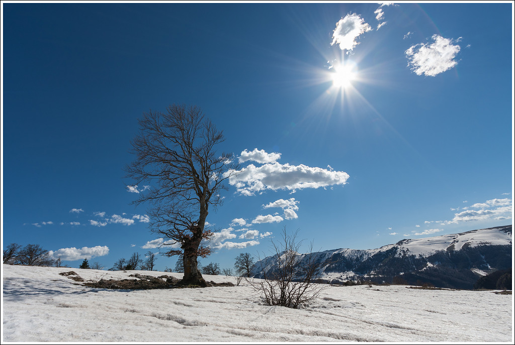 Sferzati dal vento, baciati dal sole.