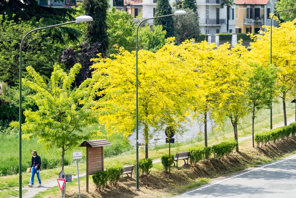 Colori di primavera