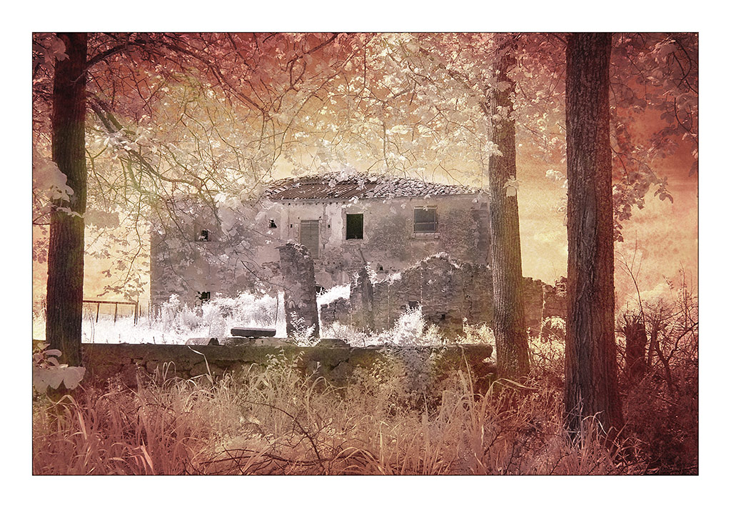 The house of the damned