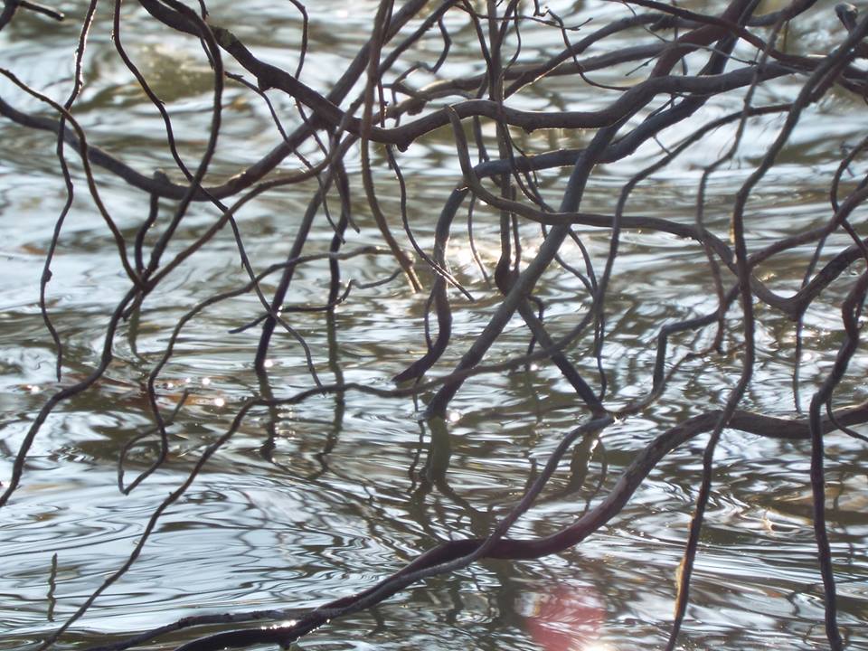 "Giochi di luci,intrecci e riflessi"