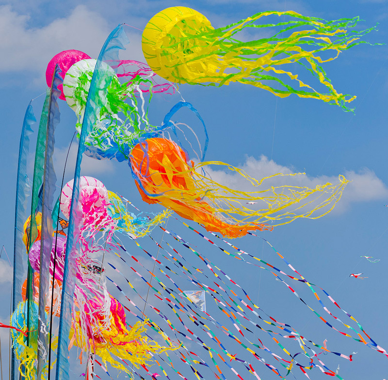 Festival degli aquiloni 2014