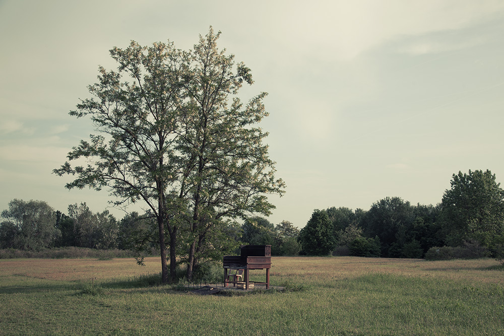 Lezioni di Piano 2014