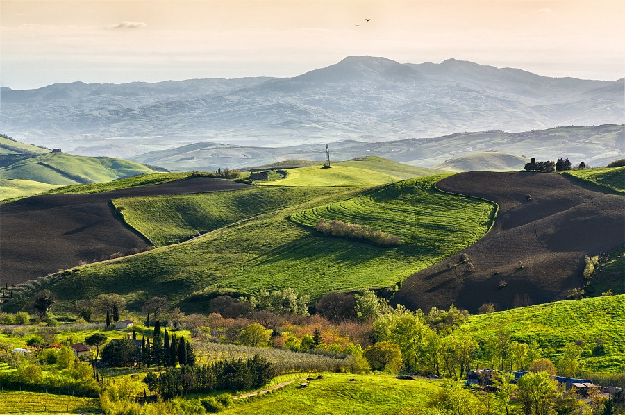 BELVEDERE S. CASCIANO (SI)