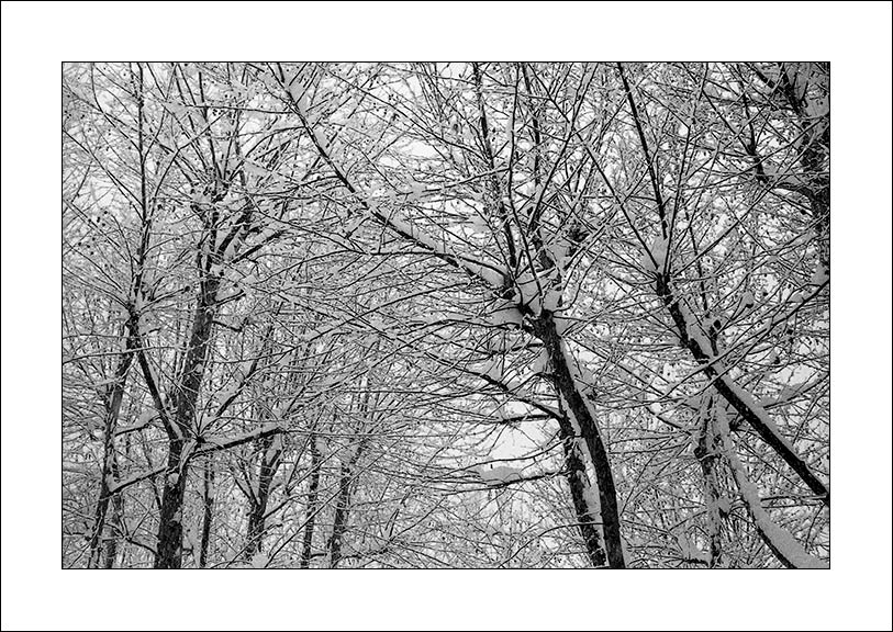 Complessit� invernale