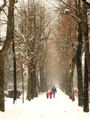 Viale innevato