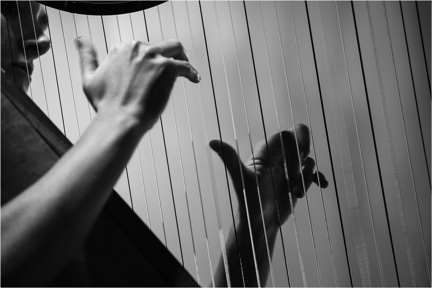 Le mani...tra le note