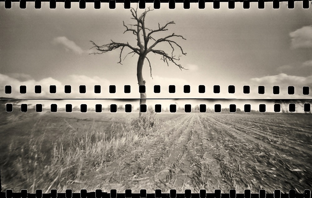 - zip -   ;/)   pinhole