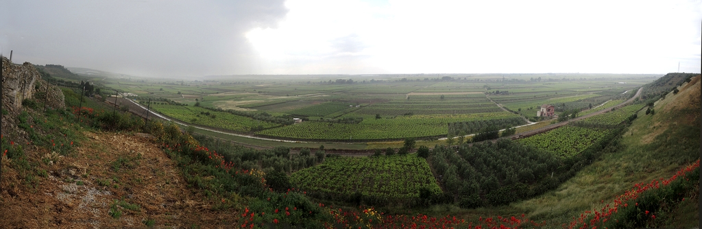 Canne della Battaglia : il terreno dello scontro