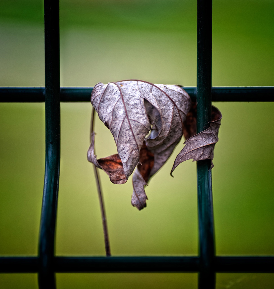 L'ultimo appiglio...