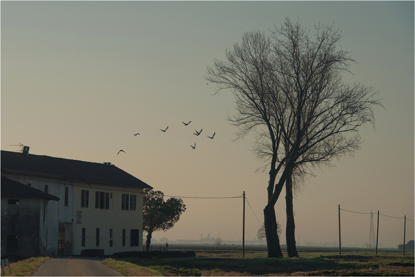 Qualche piccolo appunto...