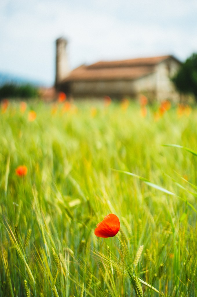 Mezzora prima della tempesta