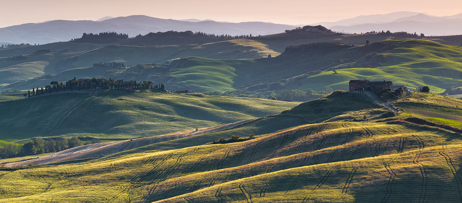 Pennellate di verde - Pienza