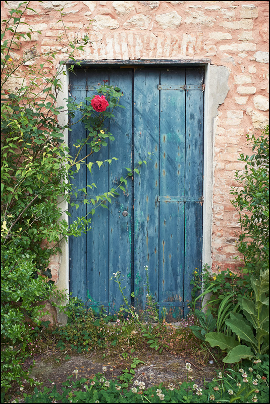 Valsanzibio. Porta chiusa con rosa.
