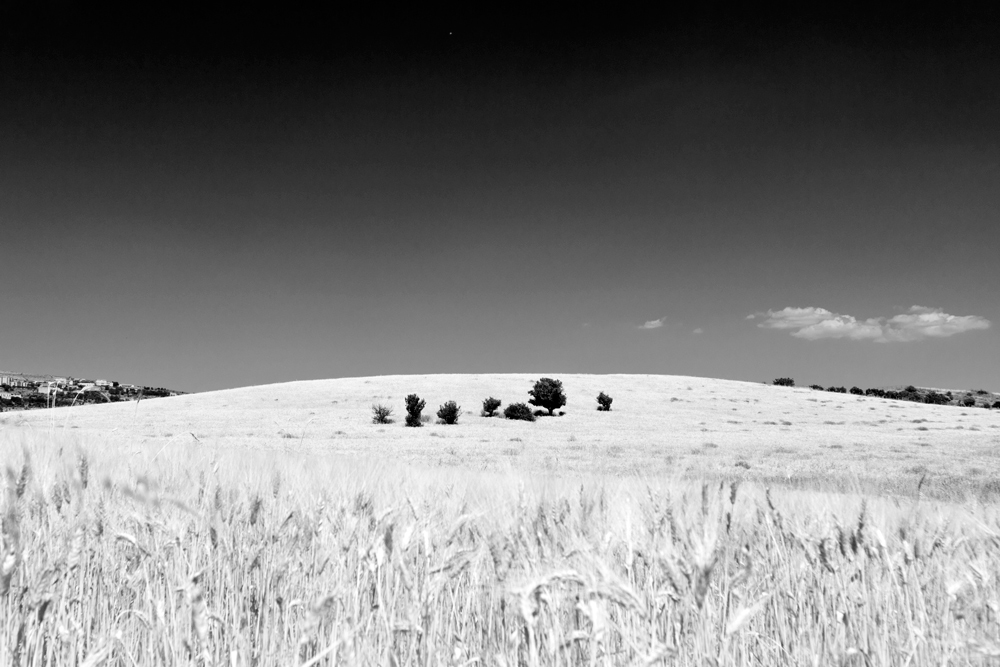 Scale di grigio naturali