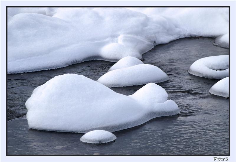 una balena nel fiume!