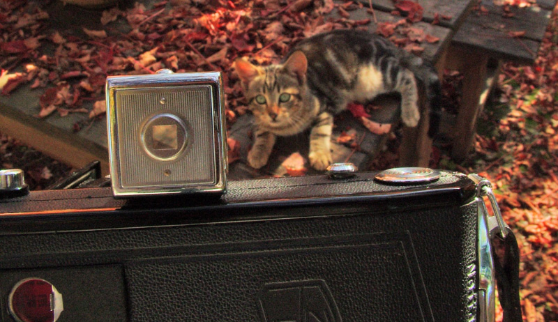 jones STAI FERMO!!!!!!!